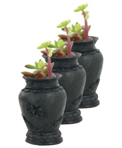Mini Çiçek Saksı Küçük Sukulent Siyah Kaktüs Saksısı 3'lü Set Mini Desenli Vazo Saksı Model
